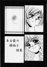 [Umino Yayoi] Aru Ai no Keikou to Taisaku