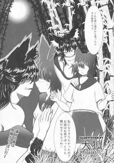 Touhou Honmono × CJD Goudou Gensou Shoujo ha CJD ga Osuki