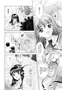 [Shimao Kazu] Flower