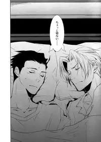 (C83) [Byakuya (En)] Aiganakuchane! (Gyakuten Saiban) [Incomplete]