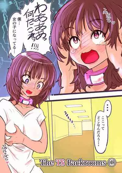 The Ts Backrooms Level 0