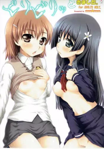 (COMIC1?4) [ORANGE?CHANNEL (Aru Ra Une)] Biribiri to Kimashita. (Toaru Kagaku no Railgun)