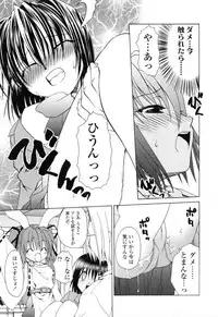 [Shizaki Masayuki] Ikeike!! Nekoro Maid