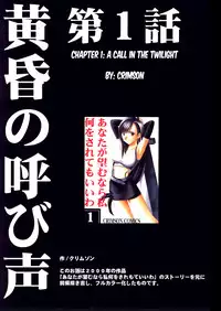 (C72) [Crimson] Tifa Sai (Final Fantasy VII) [English] [N04h]