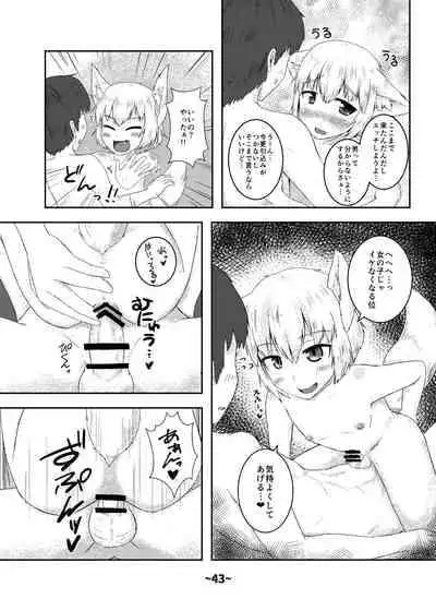 [Hydden World (Various)] Shota-chin Shuushuuroku (Touhou Project) [Digital]