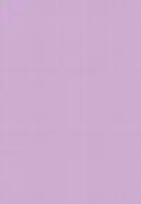 (C68) [Power Slide (Uttorikun)] Flower Children 3 (Gundam SEED DESTINY)