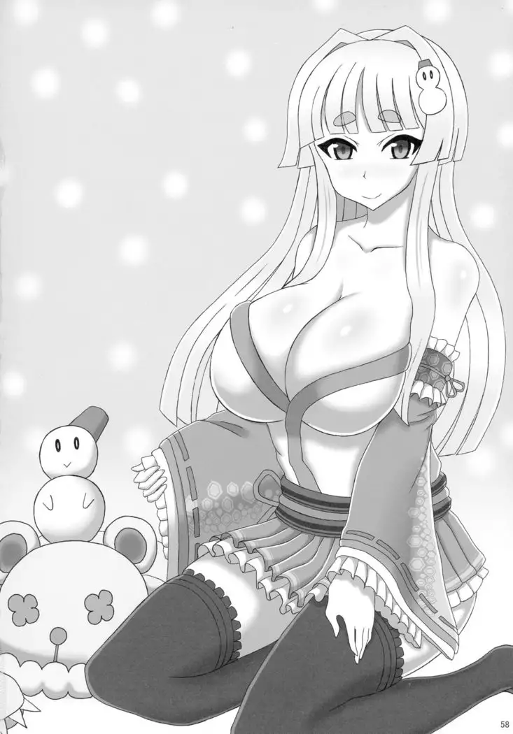 COLLECTIONS Sengoku Collection Goudou hon