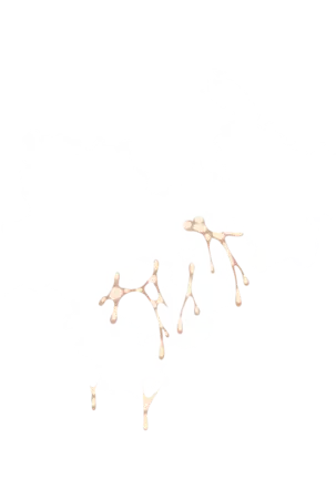 Yuuka-Chirabatta Daiyoukai no Kakera-