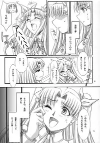 (C75) [H.B (B-RIVER)] Red Degeneration -DAY/4- (Fate/stay night)