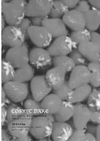 (Reitaisai 5) [54burger (Marugoshi)] COSMIC DARE (Touhou Project) [English]