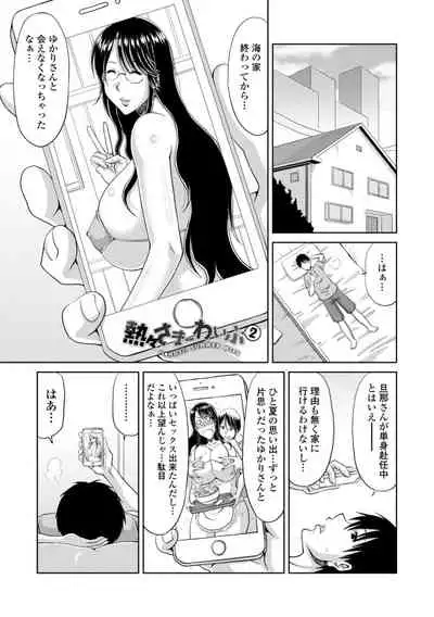 堕（お）とされ疼き妻【電子版特典付き】