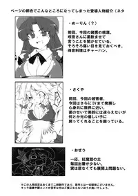 (C78) [BURUMAN (Tajima Yuki)] S&M Violence (Touhou Project)