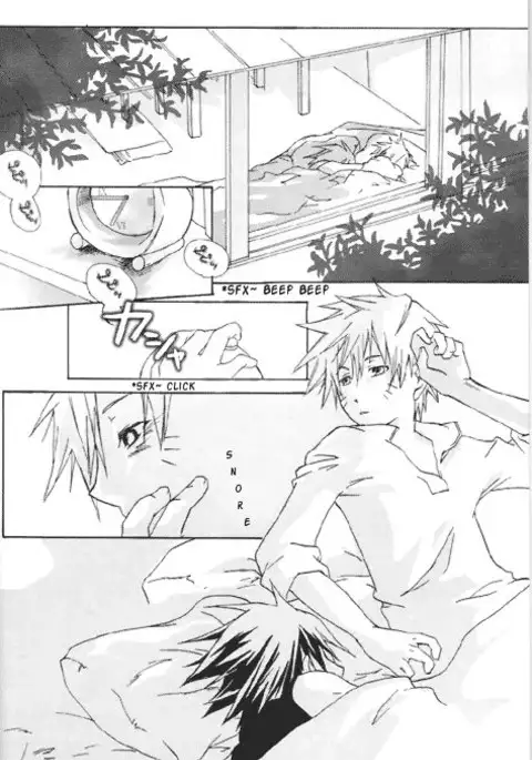 Gold Feather Silver Body