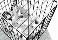 (C63) [Narimasuya (Akiba Wataru)] DOLLS DIARY 5