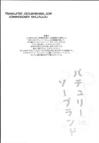 (C93) [Kedama Gyuunyuu (Tamano Kedama)] Patchouli in Soapland (Touhou Project) [English] [Cecilbk]