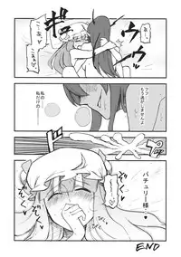 (C80) [Shironegiya (miya9)] Waisetsu Toshokan (Touhou Project)