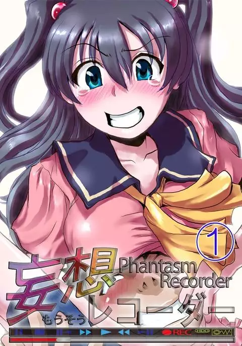 Delusion Recorder Vol. 1