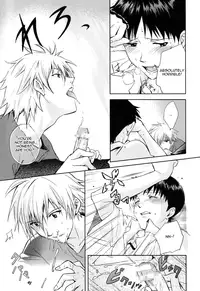 (CCTokyo123) [Cassino (Magarikoji Lily)] NO? (Neon Genesis Evangelion) [rational madness]