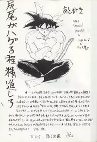 (C50) [Chirigami Goya, Fusuma go Ten (Shouji Hariko)] ZZ (Dragon Ball Z)