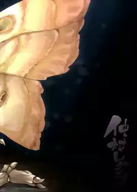 (C86) [Nanbou Hitogakushiki (Nakamura Regura)] Yamahime no Mayu