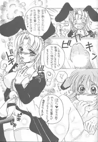 (C57) [Rakuen Tengoku (Kimio Tamako)] Goshujinsama to Watashi