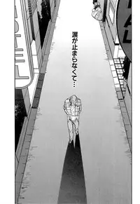 [Sakabe Shuuichi] Shin Rape Vol 4