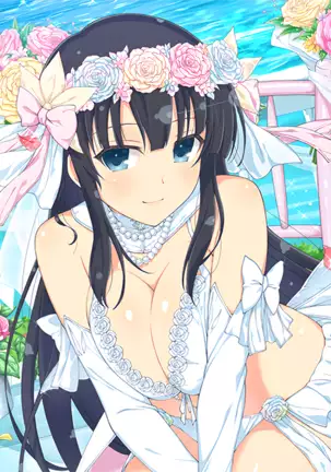 Master Ninja Senran Kagura NEW LINK