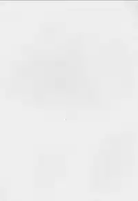 (C63) [Bousou!! Fuhatsudan (Takai Biki)] Uchuu Denpa II (Galaxy Angel)