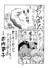 [Himitsu Kessha Tsuki to Yousei] Re-Flesh! (Sailor Moon)