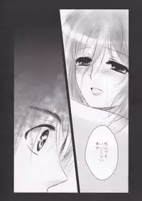 (FALL OF WALL2) [Armeria (Umichika)] Utsukushii Sekai (Shingeki no Kyojin)