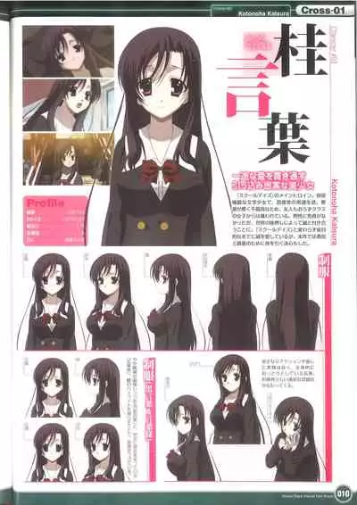 Cross Days Visual Fan Book