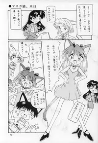(C51) [Nekomimi Sorcery (Masamineko)] Ebaneko (Neon Genesis Evangelion)