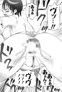 COMIC Purumelo 2007-11 Vol.11