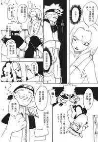 [Kishimoto Saisi] naruto ninja biography vol.07 (naruto) [chinese]