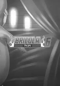 (CT26) [Diogenes Club (Haikawa Hemlen)] BRICOLA 6 (Bleach)