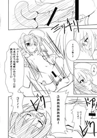 (SC40) [Einhorn (nio)] Sweet Honey Blossom (Mahou Shoujo Lyrical Nanoha A`s)