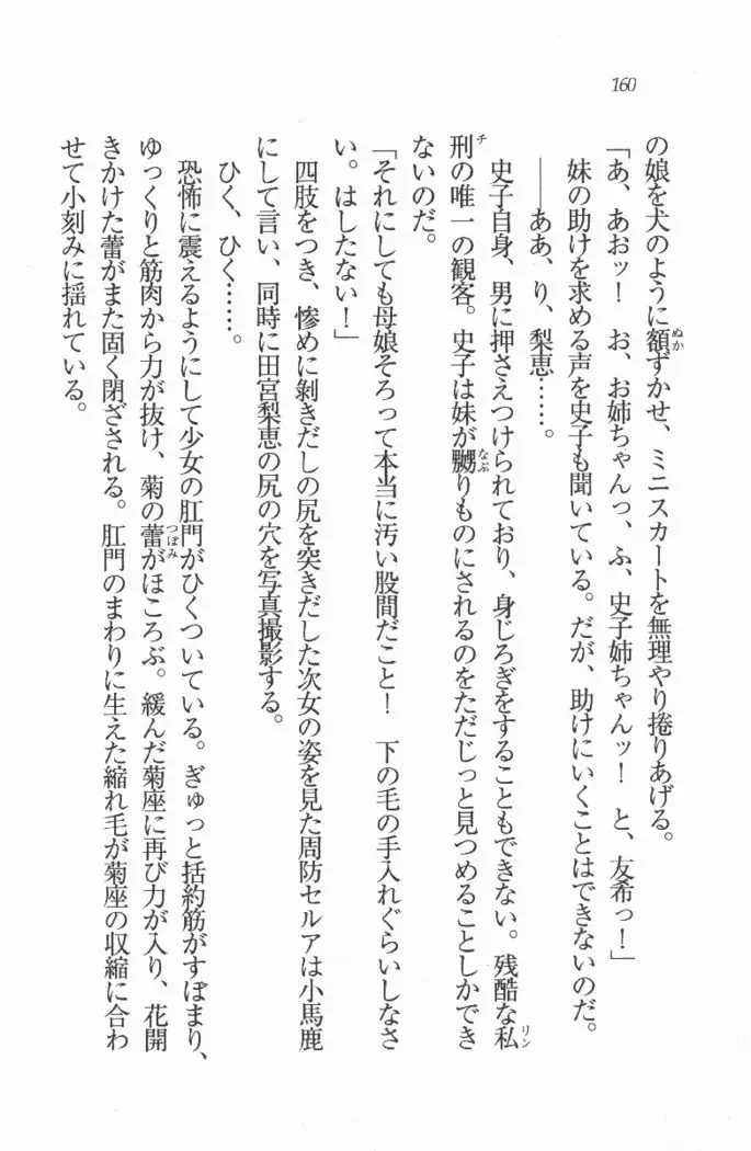 メイド喫茶 猫の隠れ家