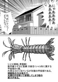 [RH Minus] Chitsu Hakai-kei Joshi [Digital]