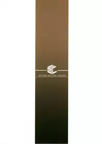 (C89) [S.S.L (Yanagi)] Rider-san to Kuro Stocking. (Fate/stay night)