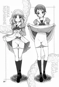 (C88) [life (Haga Yui)] Chou Jissenteki Princess Lesson (Go! Princess Precure)