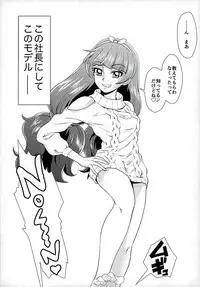 (C89) [MünchenGraph (Kita Kaduki)] Kami Model o Sodateruno (Go! Princess PreCure)