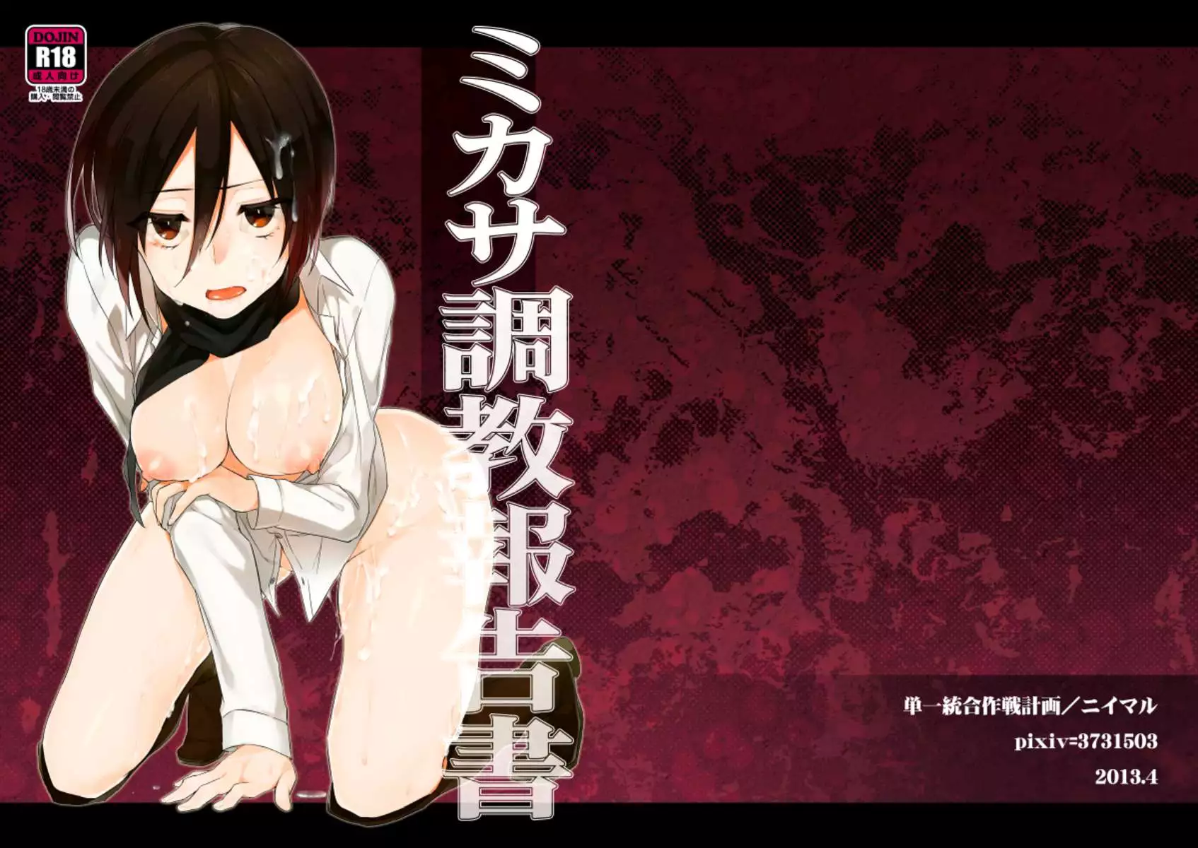 Mikasa's Training Report