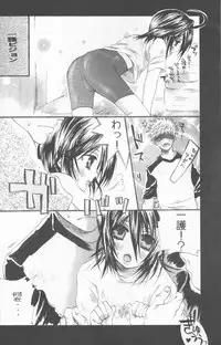 (C70) [PONCHEES (KARI) (Irohane Sui)] Rukia Kuchiki Minimum Maniax File (BLEACH)