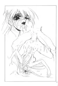 [Eva Plus Seisaku Iinkai (Various)] Eva-Plus C (Neon Genesis Evangelion)