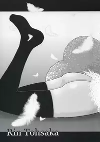 (C67) [KABAYAKIYA (Unagimaru)] RED SIDE (Fate/stay night) [Chinese] [wl00314824個人漢化]