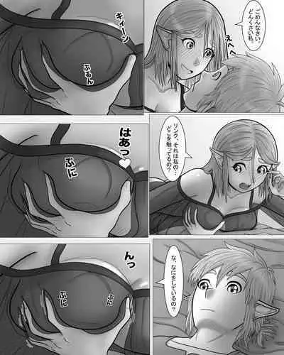 Zeruda no Densetsu: Purinsesu to Sugosu Yoru