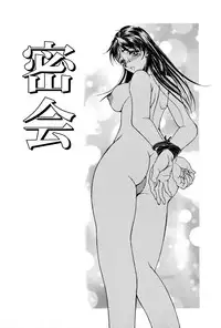 [Uetakano Oike] Shukujo Ryoujoku | Lady Rape