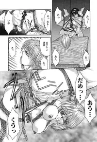 [Grifon] Shoujo Nikuin