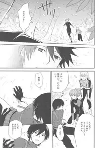 [DARKER THAN BLACK] hoshiatsume 表&裏 (mrmn)