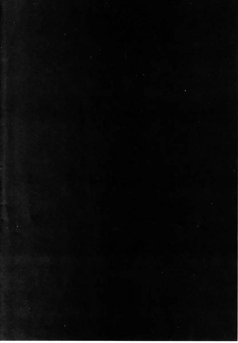 Shin-Chan no Woto no Tatakai!